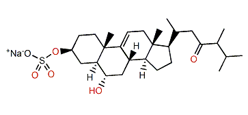 3b-O-Sulfo-6a-hydroxy-ergost-9(11)-en-23-one sodium salt